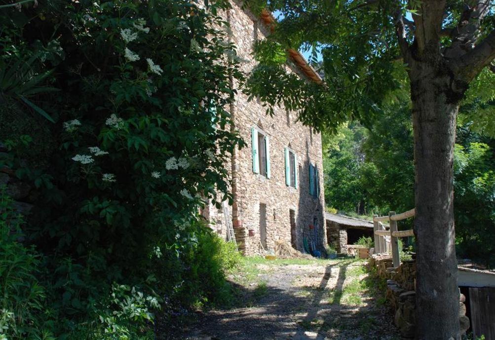 Gite De Fontfouillouse Les Plantiers Exterior photo